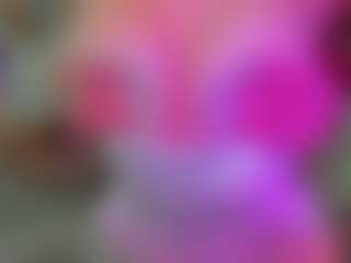 Show de cam sexual en vivo de alis tauber