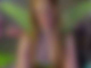 Ricki-Bloom's Live Sex Cam Show