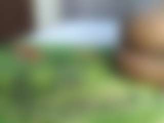Live cam show with Cutey-pinky - Thick on Livezox
