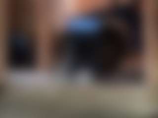todo todito's Live Sex Cam Show