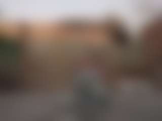 todo todito's Live Sex Cam Show
