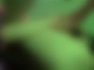 Official_dickeddownunder's Live Sex Cam Show