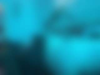 Official_dickeddownunder's Live Sex Cam Show