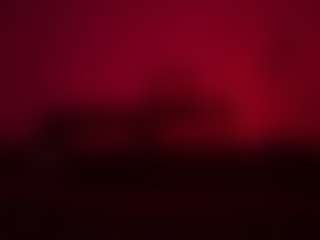 Official_dickeddownunder's Live Sex Cam Show