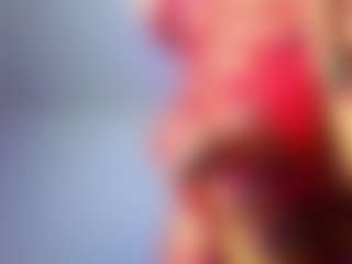 DominaSteff's Live Sex Cam Show