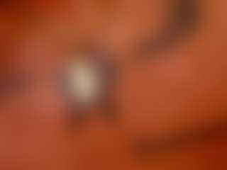 FoxySerenaX's Live Sex Cam Show