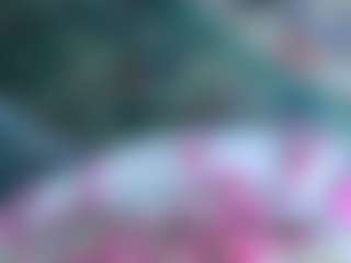 SallyeCha's Live Sex Cam Show