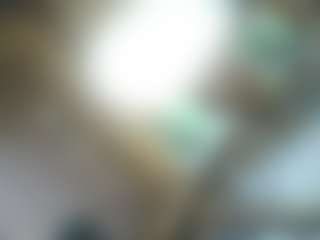 oneinch11's Live Sex Cam Show