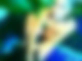 oneinch11's Live Sex Cam Show