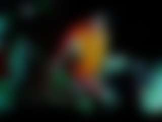 bigoledihhh's Live Sex Cam Show