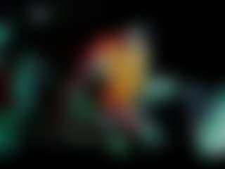 bigoledihhh's Live Sex Cam Show