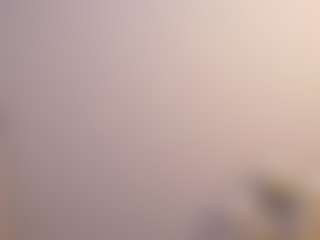 TeriAgamao's Live Sex Cam Show