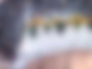 Live cam show with DESIRE10INCHES - Italian on Camsoda | colombia
