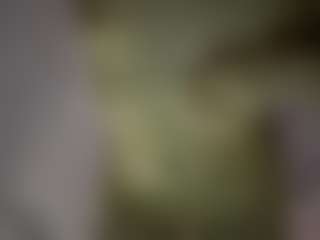 Live cam show with nessyhereismessy - Genital Piercings on Camsoda