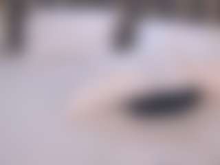 RosaAmour's Live Sex Cam Show