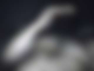 Model_Men's Live Sex Cam Show