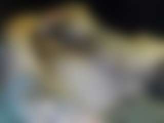 Show de Sexo ao Vivo na Câmera de Model_Men