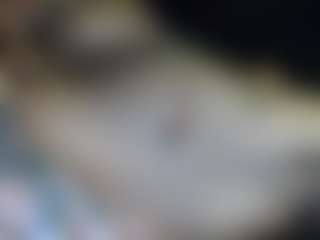 Model_Men's Live Sex Cam Show