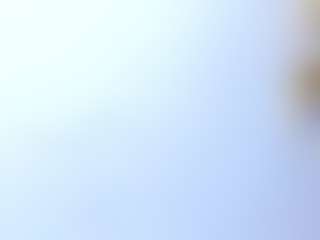 yasmin-dina's Live Sex Cam Show