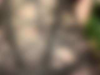 MarioVandewater's Live Sex Cam Show
