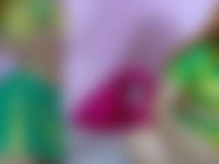 Live cam show with sammymia68 - Amateur on SinfulBabes