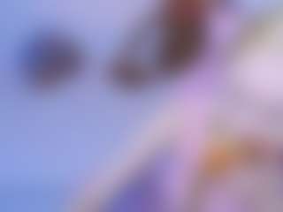 Live cam show with cut1ecut1e - Longhair on Camsoda