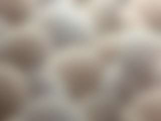 SuzetteDillon's Live Sex Cam Show