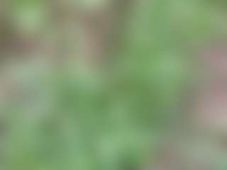 Tony22h's Live Sex Cam Show