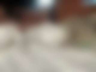 dottiendick78's Live Sex Cam Show