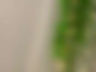 Live cam show with TramieWilson - Blondie on crypto-cams