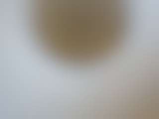 General123456s Live-Sex-Cam-Show