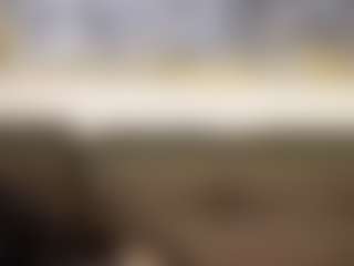 Live cam show with Gabyveli - Athletic White on Camiplay Live | colombia