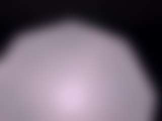 MatildeSchaalma's Live Sex Cam Show