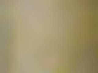 raymanMonkey's Live Sex Cam Show