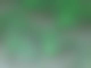 AFRICA THEE SAVAGE's Live Sex Cam Show