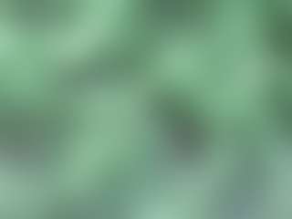 AFRICA THEE SAVAGE's Live Sex Cam Show