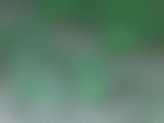AFRICA THEE SAVAGE's Live Sex Cam Show