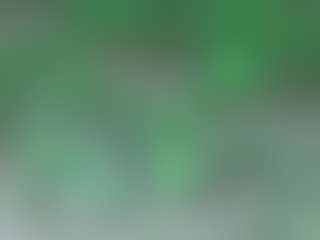 AFRICA THEE SAVAGE's Live Sex Cam Show