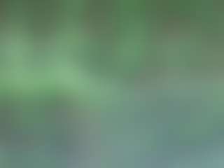 AFRICA THEE SAVAGE's Live Sex Cam Show
