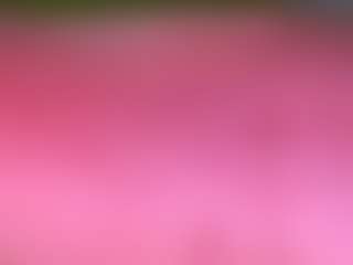 Jordydick's Live Sex Cam Show