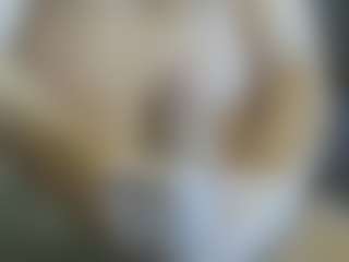 Cute Muscled Anaconda's Live Sex Cam Show