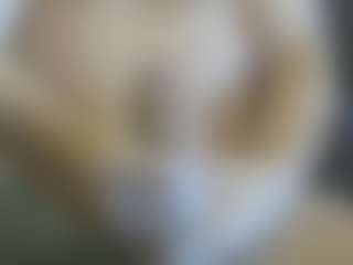 Live cam show with Cute Muscled Anaconda - Caucasian on galaxygirlnitro.com
