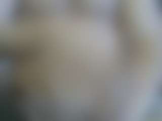 Cam Show en direct de Cute Muscled Anaconda