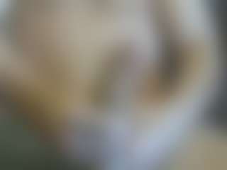 Show de cam sexual en vivo de Cute Muscled Anaconda