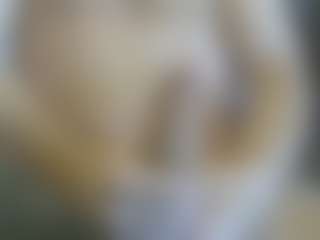Live cam show with Cute Muscled Anaconda - Daddy on xxxlivecams.org