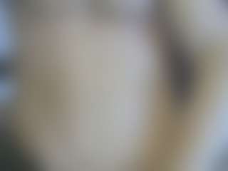 Live cam show with Cute Muscled Anaconda - Jerk Off on Hubzter Live