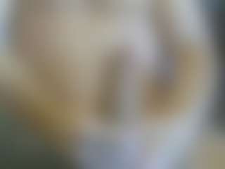 Live cam show with Cute Muscled Anaconda - Tease on liverealitysex.com