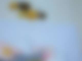 Live cam show with vivifit-08 - Ass Bouncing on CamClone
