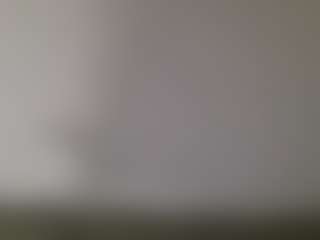 Show di cam dal vivo di Zeko1209