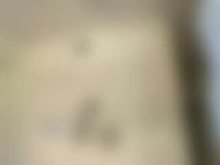 Sr. Gheko's Live Sex Cam Show
